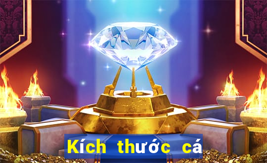 Kích thước cá lớn Tải về