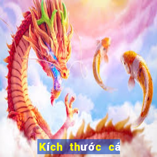 Kích thước cá lớn Tải về