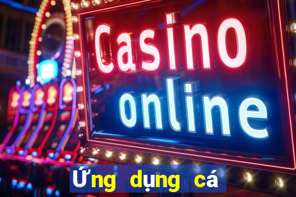 Ứng dụng cá cược bóng đá