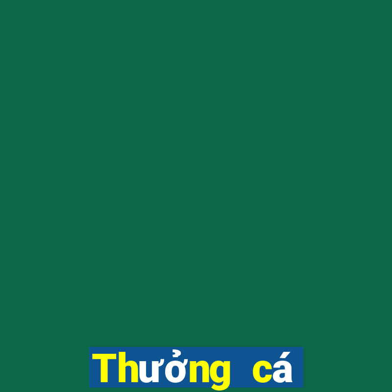 Thưởng cá cược bóng đá