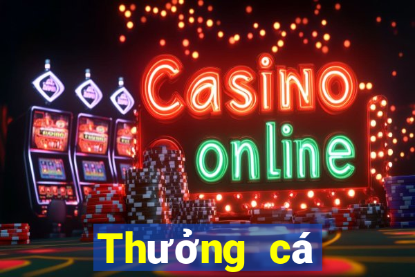 Thưởng cá cược bóng đá