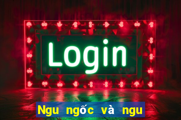 Ngu ngốc và ngu ngốc giải trí