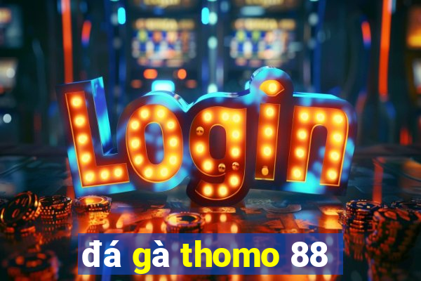 đá gà thomo 88