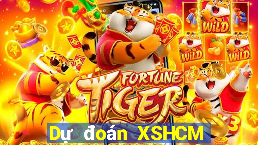 Dự đoán XSHCM ngày 11