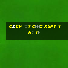 Cách đặt cược XSPY thứ tư