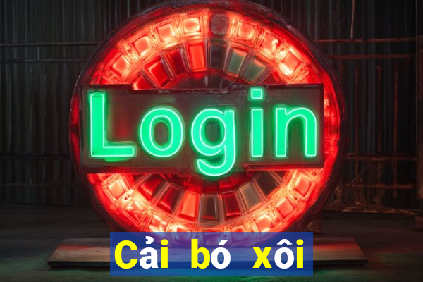 Cải bó xôi trò chơi giải trí