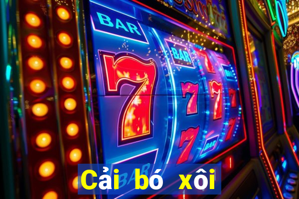 Cải bó xôi trò chơi giải trí