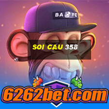 soi cau 358