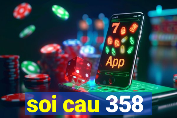 soi cau 358