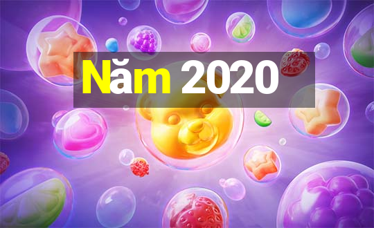 Năm 2020