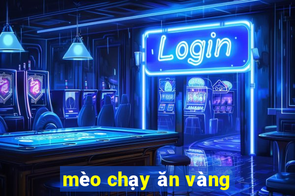 mèo chạy ăn vàng