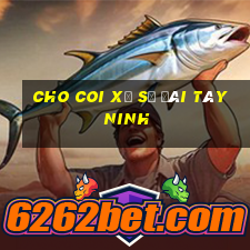 cho coi xổ số đài tây ninh