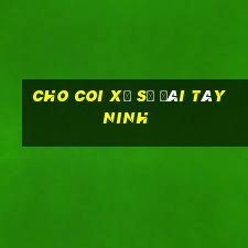 cho coi xổ số đài tây ninh