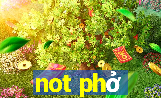 not phở