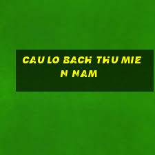 cau lo bach thu mien nam