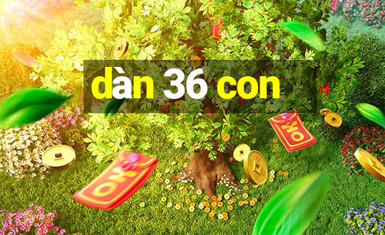 dàn 36 con