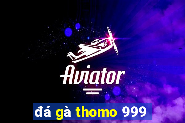 đá gà thomo 999