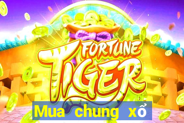 Mua chung xổ số miền trung