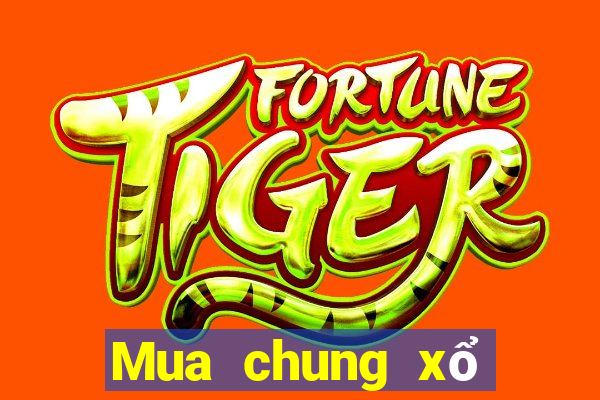 Mua chung xổ số miền trung