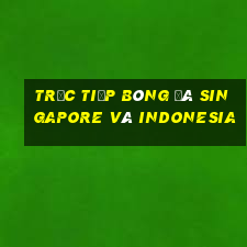 trực tiếp bóng đá singapore và indonesia