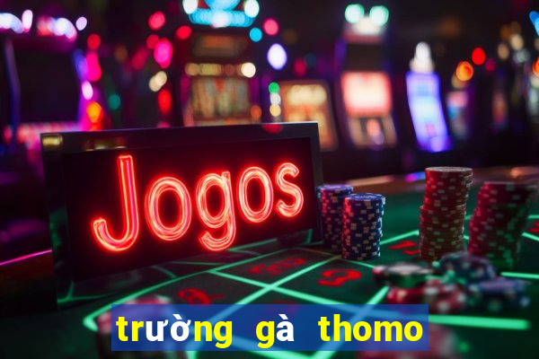 trường gà thomo ở đâu