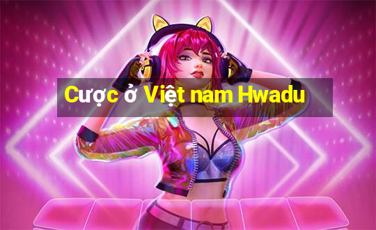 Cược ở Việt nam Hwadu