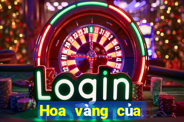 Hoa vàng của báo hoa mai