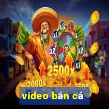 video bắn cá