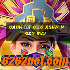 Cách đặt cược XSHN ngày mai