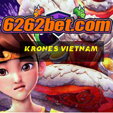 krones vietnam