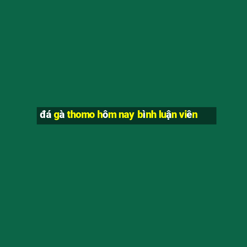 đá gà thomo hôm nay bình luận viên