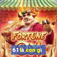 61 là con gì