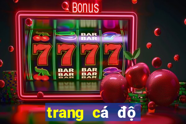 trang cá độ bóng đá fabet