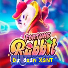 Dự đoán XSNT ngày 11