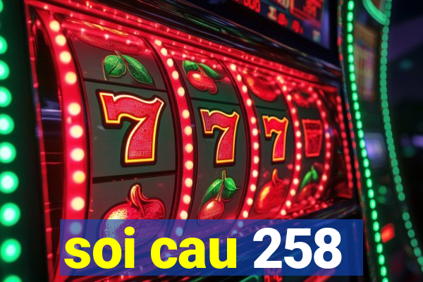 soi cau 258