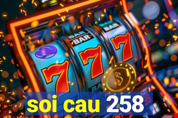 soi cau 258