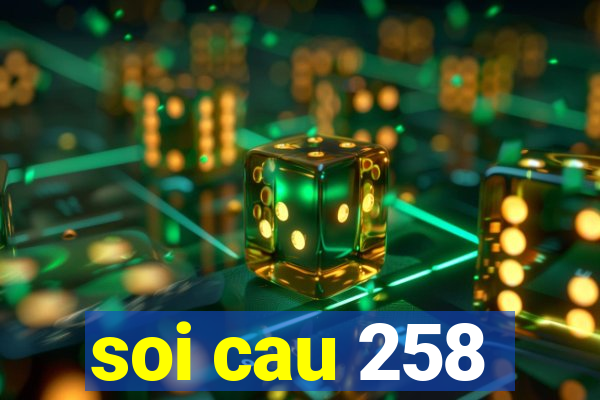 soi cau 258