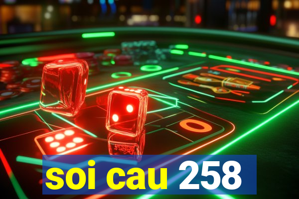 soi cau 258