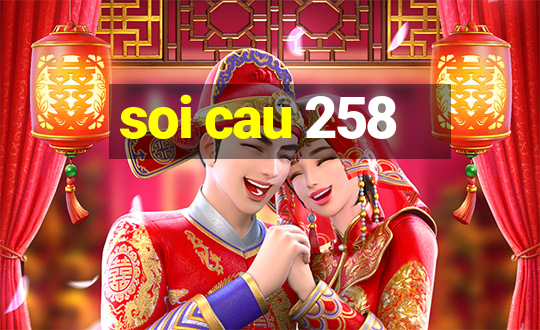 soi cau 258