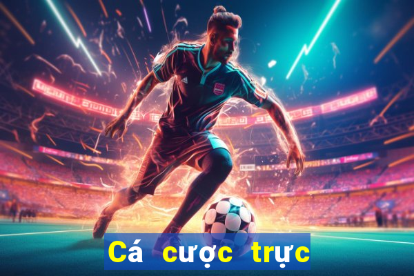 Cá cược trực tuyến Spin Casino