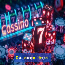 Cá cược trực tuyến Spin Casino