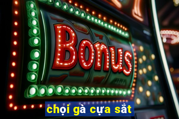 chọi gà cựa sắt