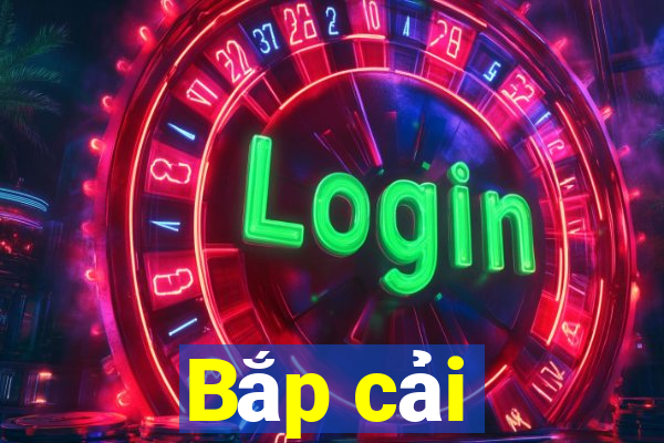 Bắp cải