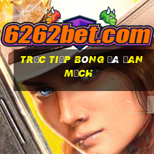 trực tiếp bóng đá đan mạch