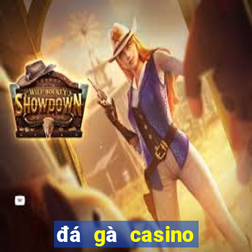 đá gà casino cửa sắt