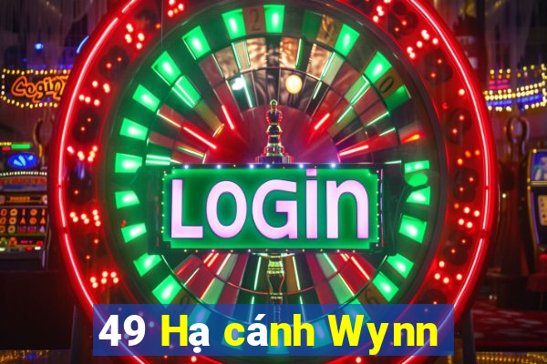 49 Hạ cánh Wynn