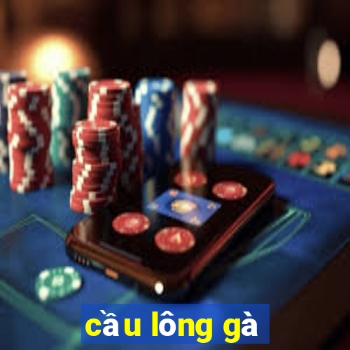 cầu lông gà