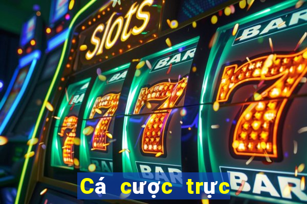 Cá cược trực tuyến 12bet