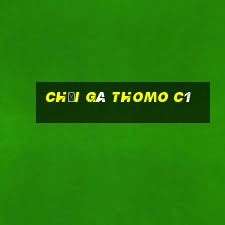 chọi gà thomo c1