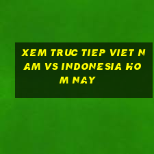 xem truc tiep viet nam vs indonesia hom nay